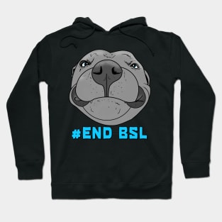 #End BSL Hoodie